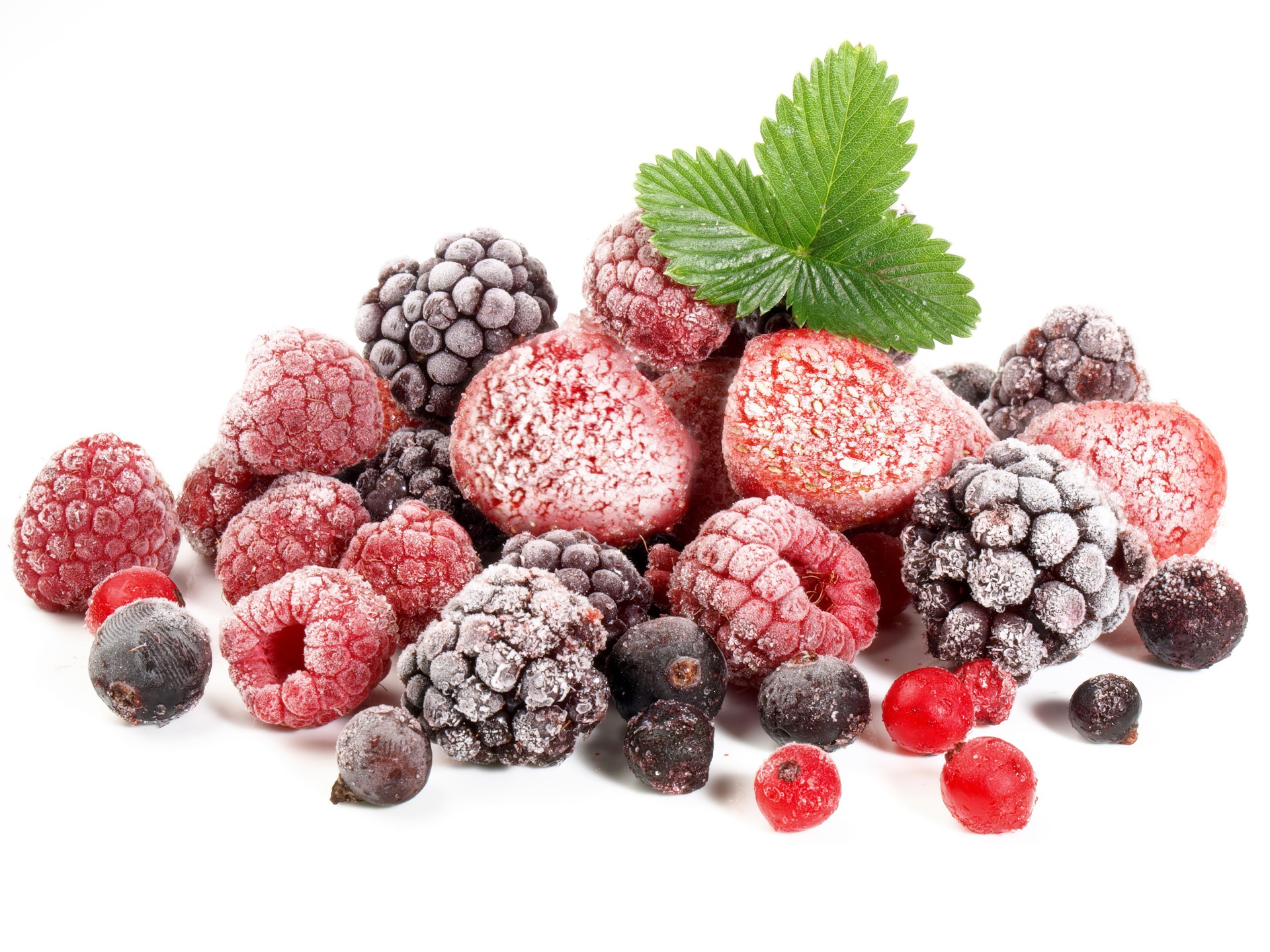 Frozen Berries on white Background